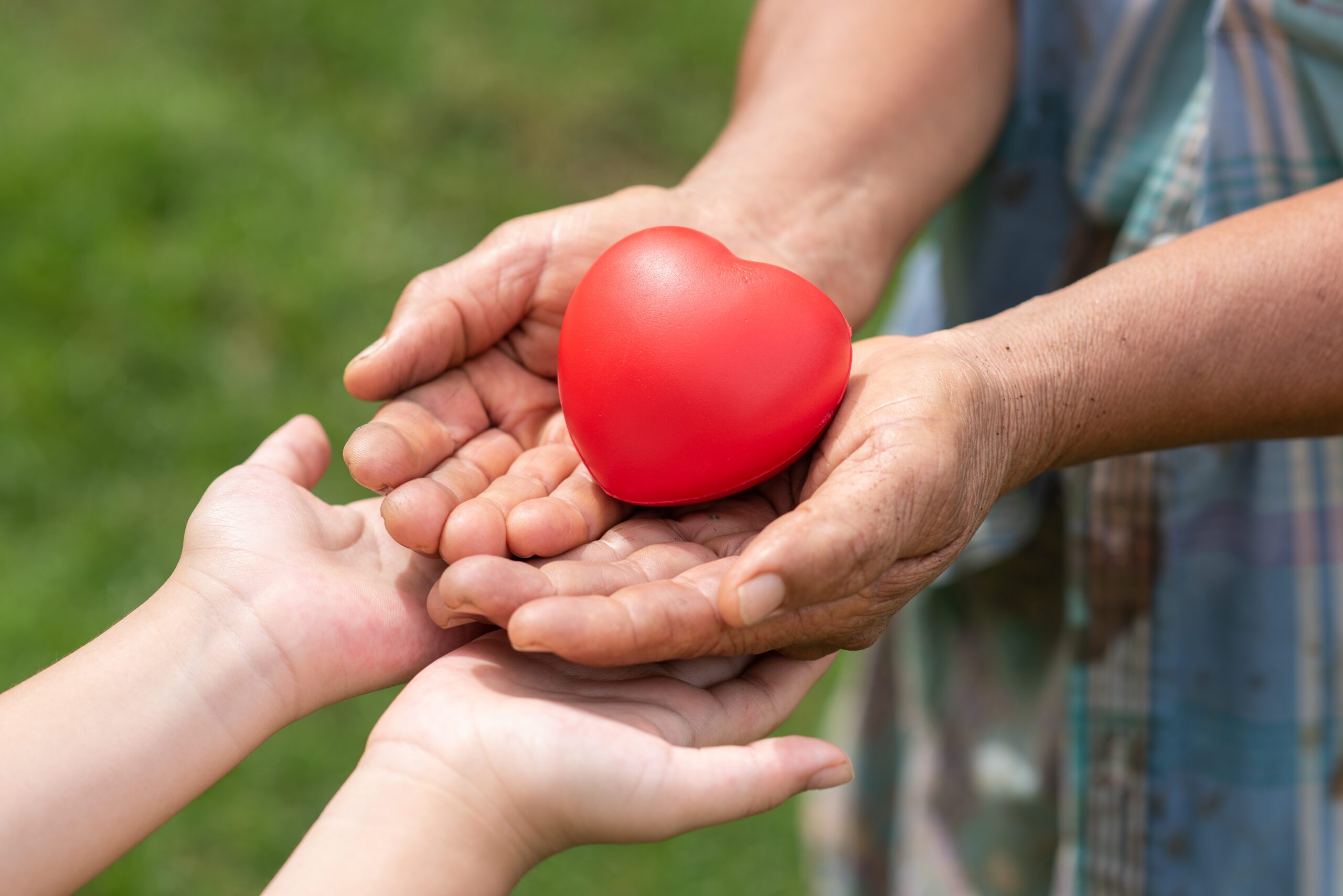 The Missions Committee supports the American Heart Association