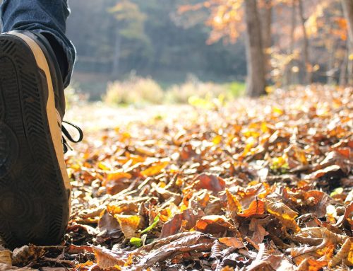 God’s Presence in Everyday Life